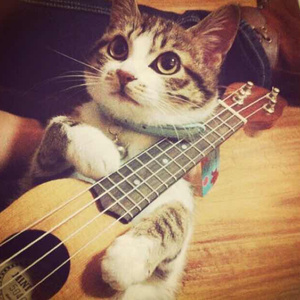 澳门宾利影视娱乐有限公司
